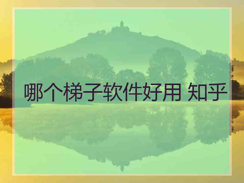 哪个梯子软件好用 知乎