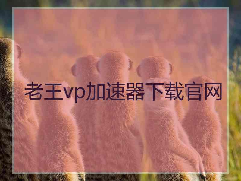 老王vp加速器下载官网