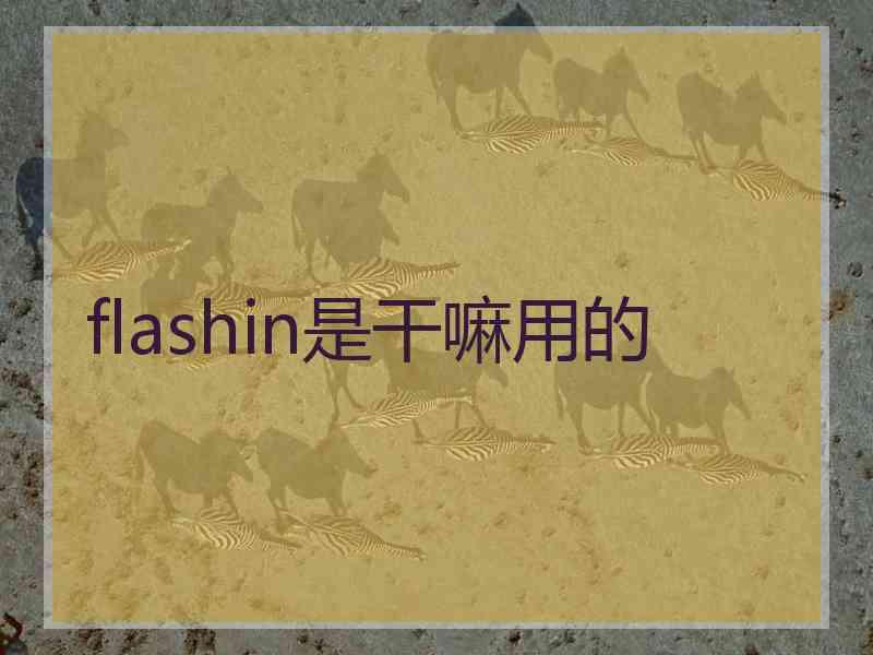 flashin是干嘛用的