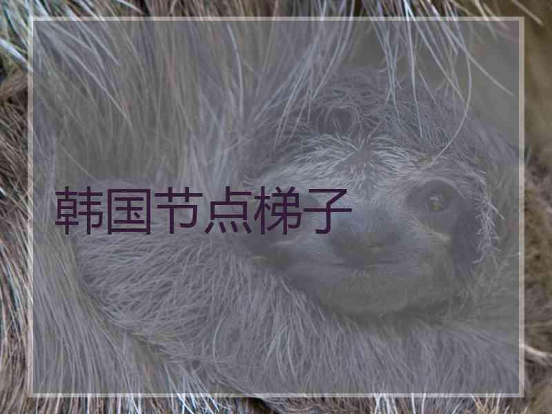 韩国节点梯子