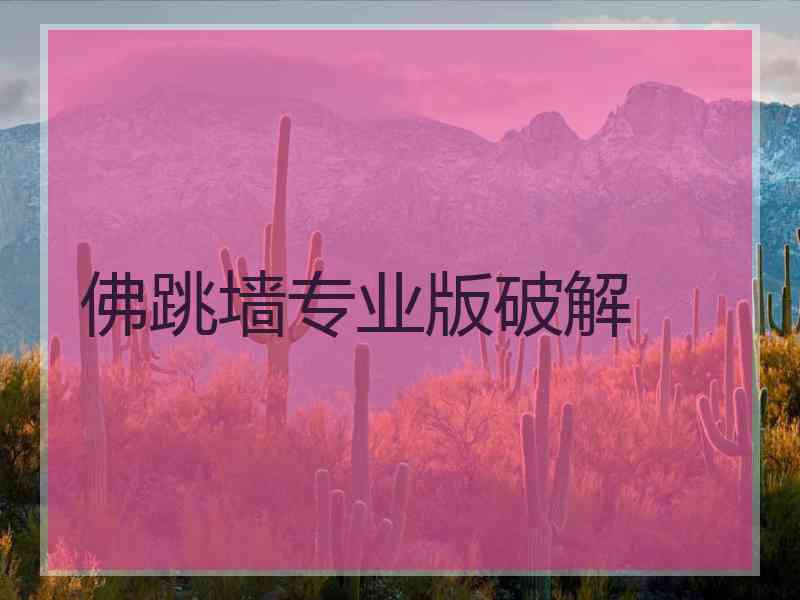 佛跳墙专业版破解