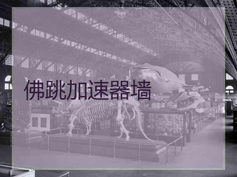 佛跳加速器墙