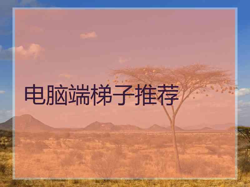 电脑端梯子推荐