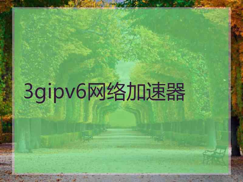 3gipv6网络加速器