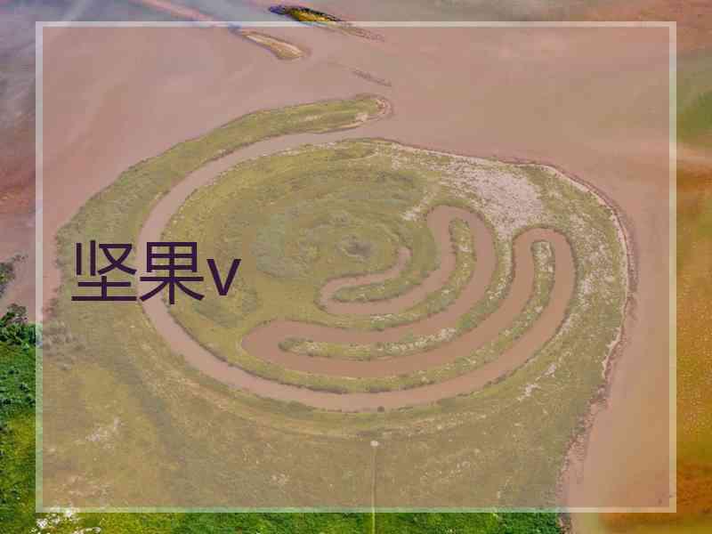 坚果v