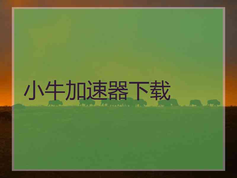 小牛加速器下载