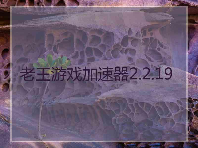 老王游戏加速器2.2.19
