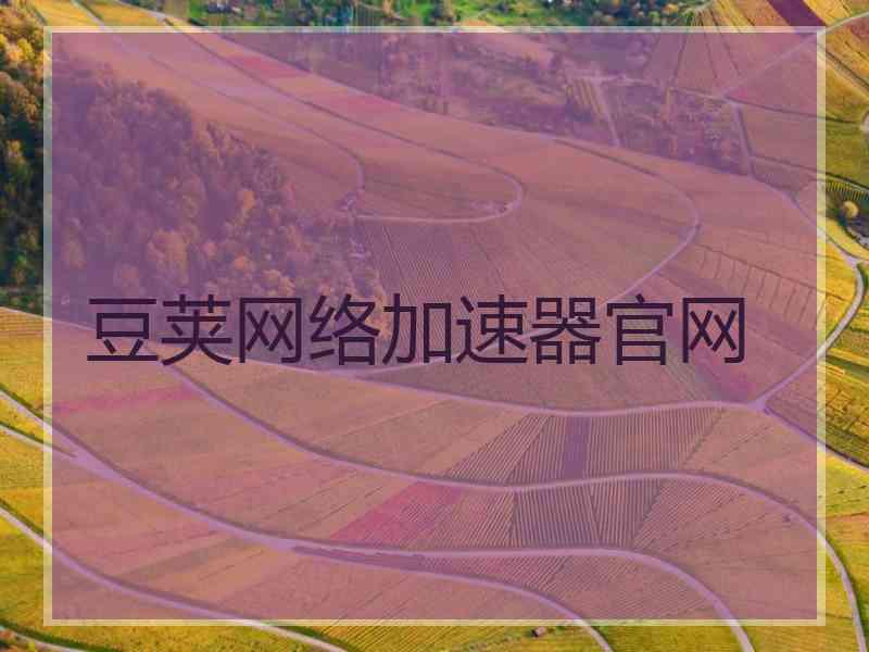 豆荚网络加速器官网