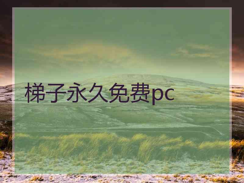 梯子永久免费pc