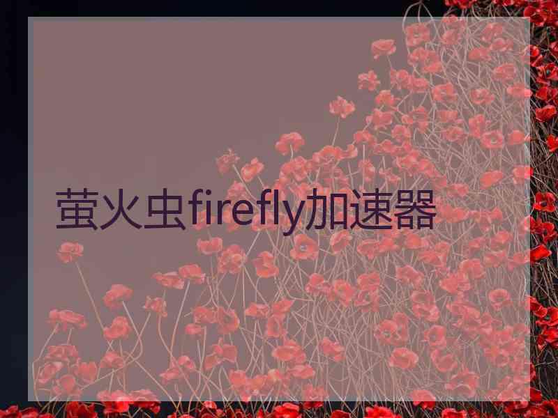 萤火虫firefly加速器