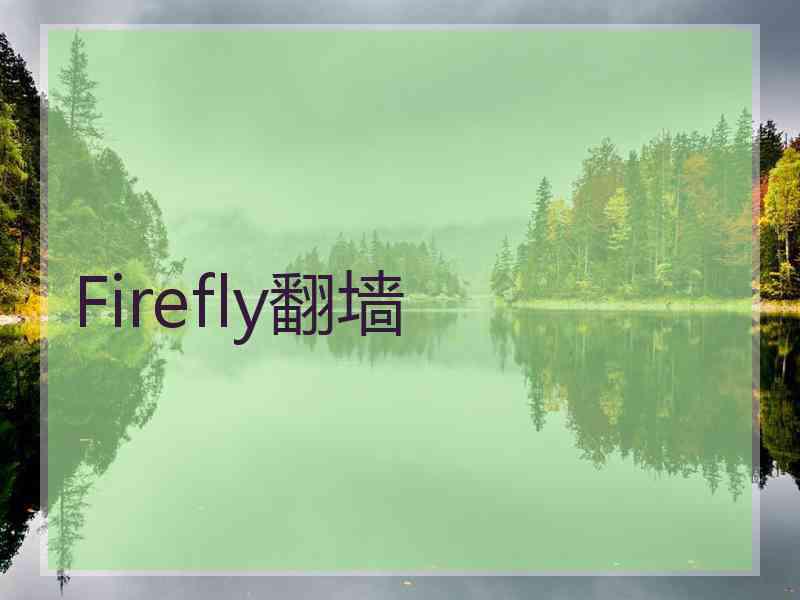 Firefly翻墙