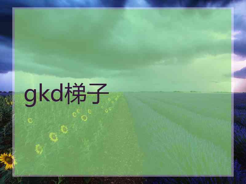 gkd梯子