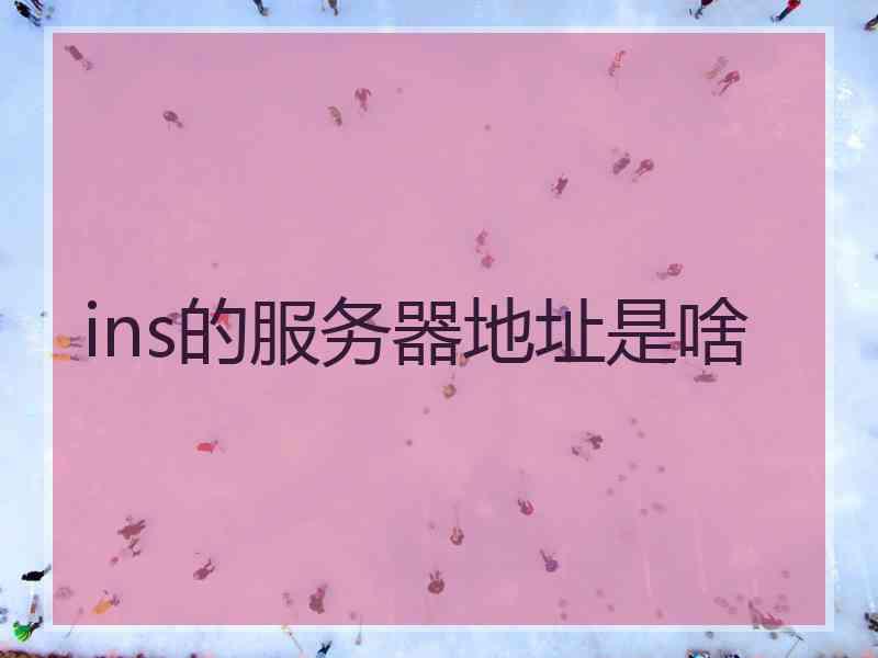 ins的服务器地址是啥