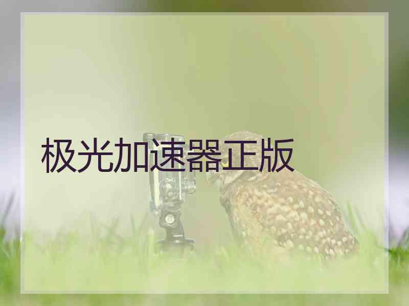 极光加速器正版