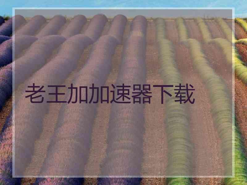 老王加加速器下载
